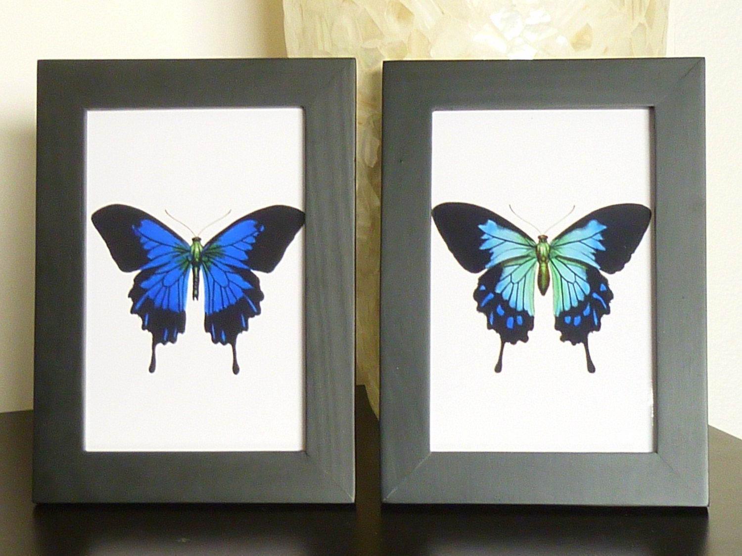 Set Of 2 Framed Vintage Butterfly Prints By Emmaelizabethartwork 