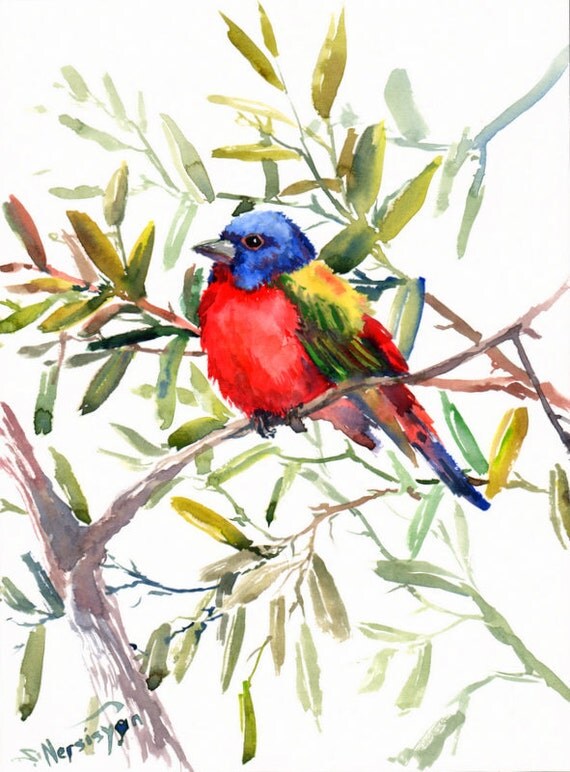 Painted Bunting Original watercolor painting 12 X by ORIGINALONLY
