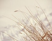 Minimal Modern Winter Photography, Golden Brown Tan Home Decor, Nature Photography, Blades of Grass, Soft Rustic Cottage, Snow - JillianAudreyDesigns Minimal Modern Winter Photography, Golden Brown Tan Home Decor, Nature Photography, Blades of Grass, Soft Rustic Cottage, Snow - JillianAudreyDesigns