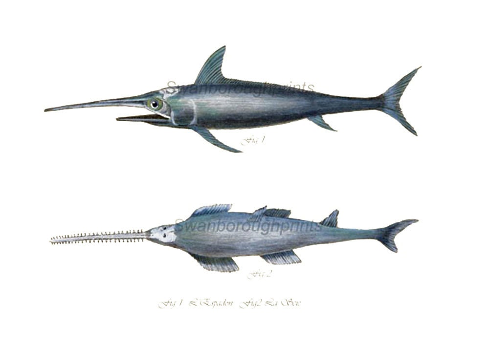 Unavailable Listing on Etsy