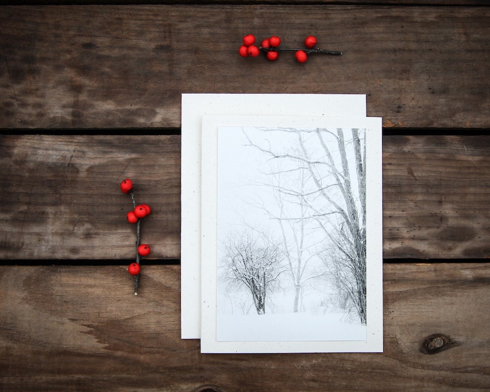 Snowy Woodlands Notecard Winter Photography Lacey Trees Snow Forest Trees White Gray, Blank Notecard - ShadetreePhotography