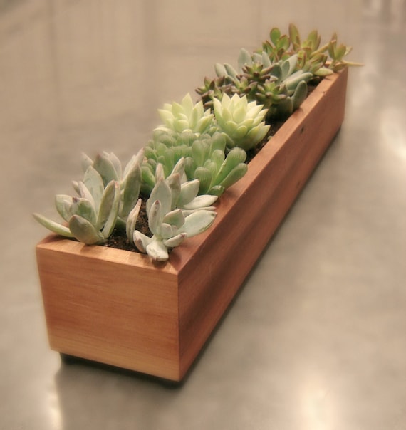 Modern Wood Planter Box Indoor Window Planter by