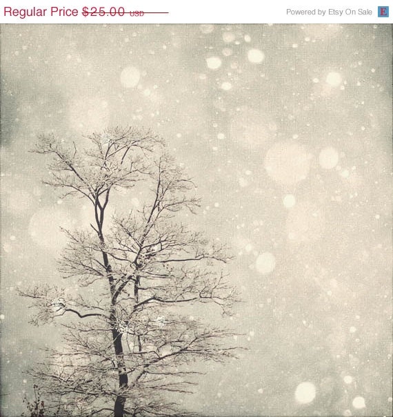 SALE 40% OFF Winter Art: First Snow 8x8 Fine Art Photography, Snow Bokeh, Tree Wall Art, Nature Wall Art, Nature Photography - MarianneLoMonaco