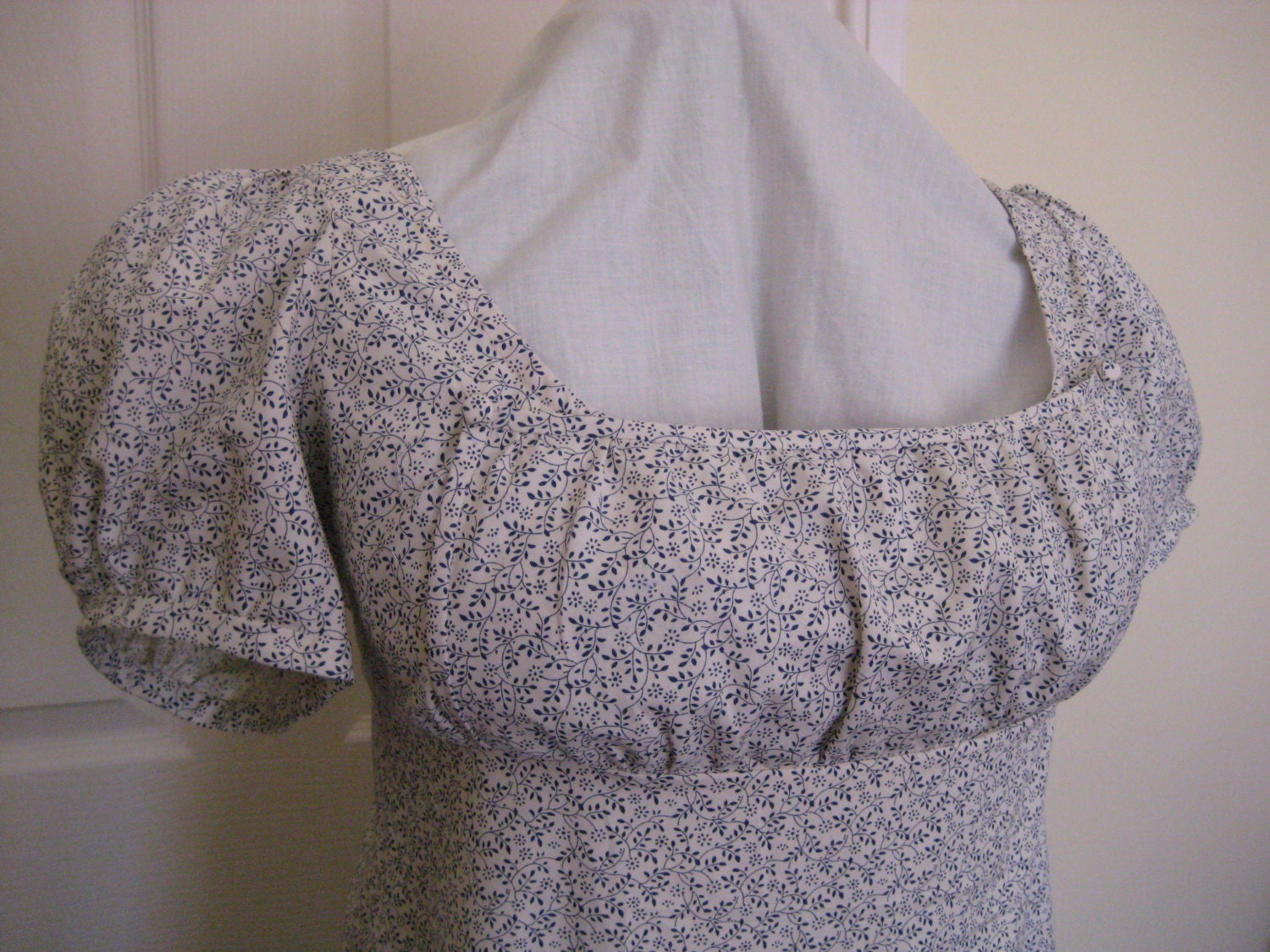 jane austen dresses plus size