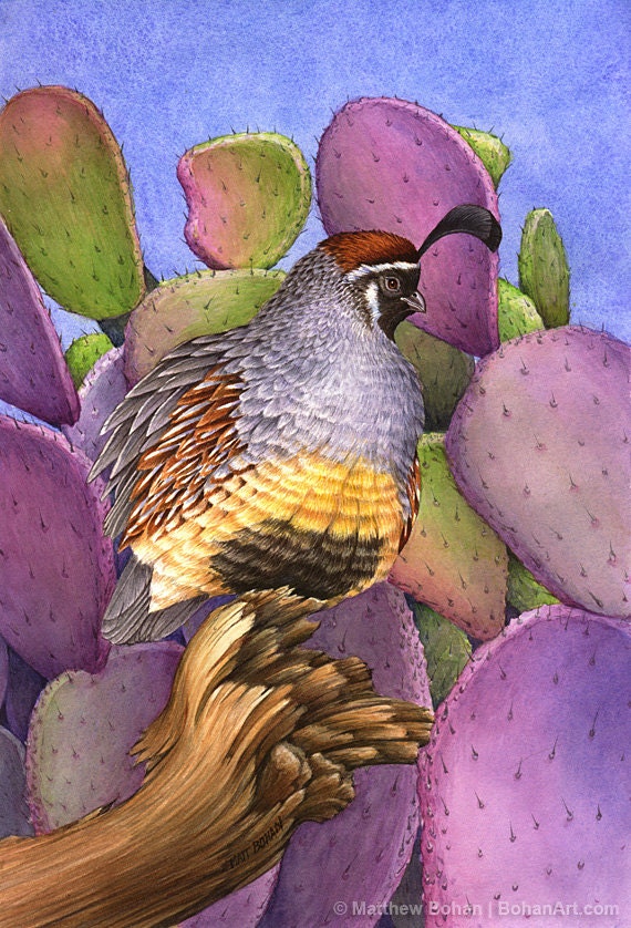 Popular items for gambels quail on Etsy