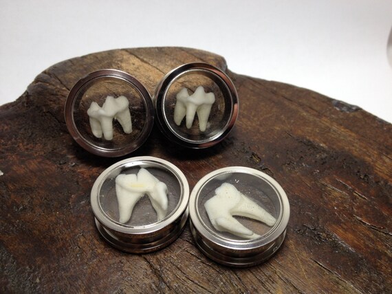 1 Ear Gauge Real Animal Tooth Ear Gauges 1 Ear by SavannaCrow