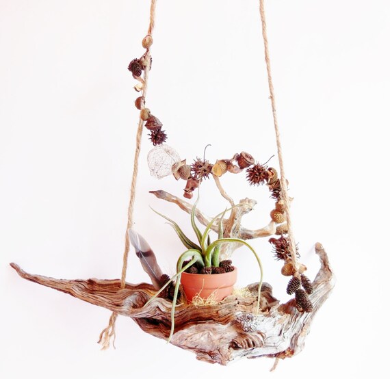 Raw Driftwood Hanging Plant Shelf // Earthy by BloomingGoddess