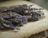 Lavender & Honeysuckle - REFILL for perfume locket - ForStrangeWomen