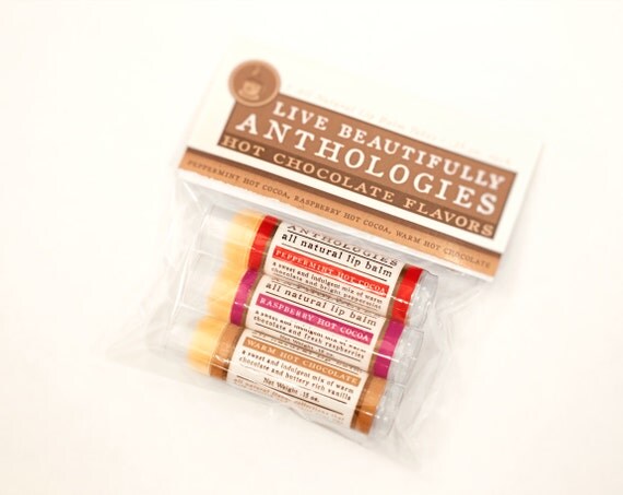 Hot Chocolate Lip Balm Set All Natural 3 by LiveBeautifullyBody