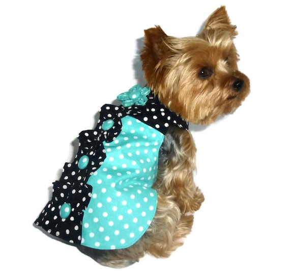 Dog Clothes SEWING PATTERN 1589 ColorBlox Dog by SofiandFriends