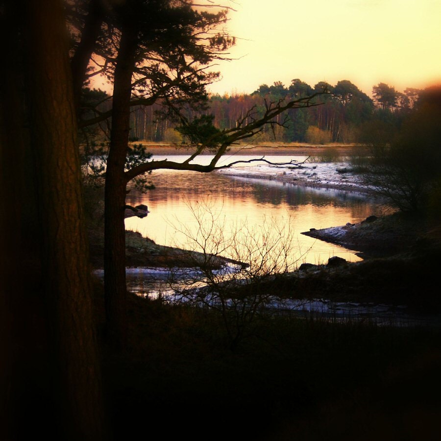 Nature photography, scenery photo, trees and river, sunrise morning, dreamy magical, mysterious photo, wall decor, viviarte - ViviArte
