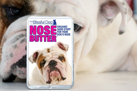 Bulldog S Nose Is Dry And Cracked Eyelids Treatment