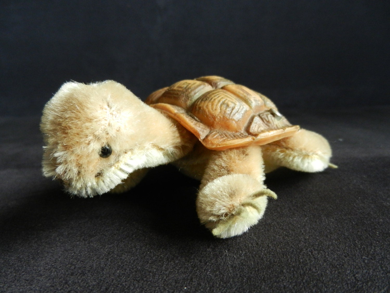 steiff turtle