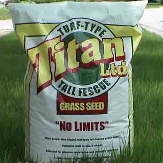 Titan Rx Turf Type Tall Fescue