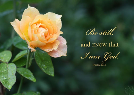 Bible Verse Art Psalm 46 Verse 10 Yellow Rose Photo Be Still