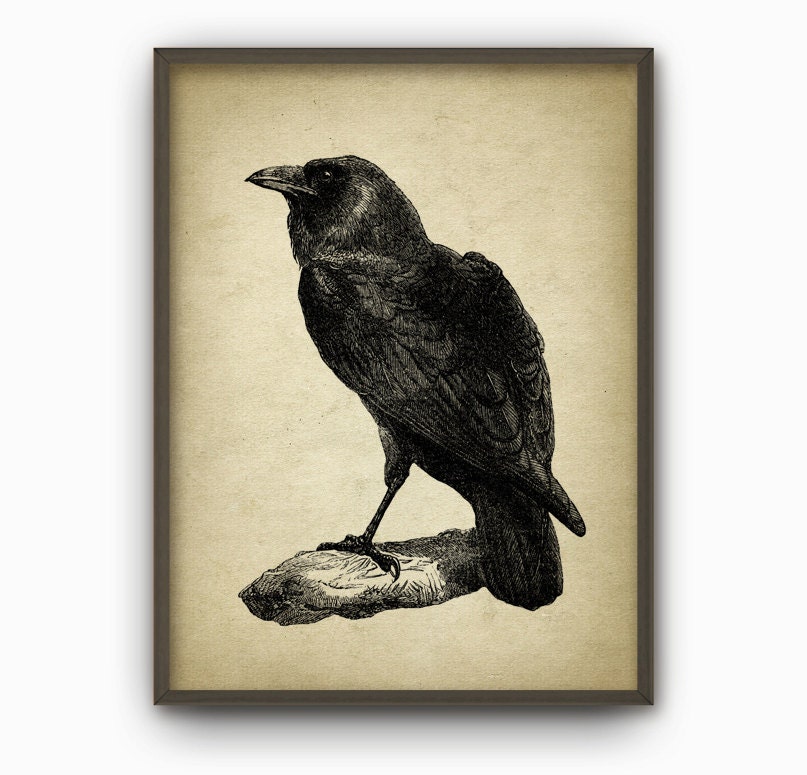 Raven Art Print Raven Wall Art Poster Common Raven Bird