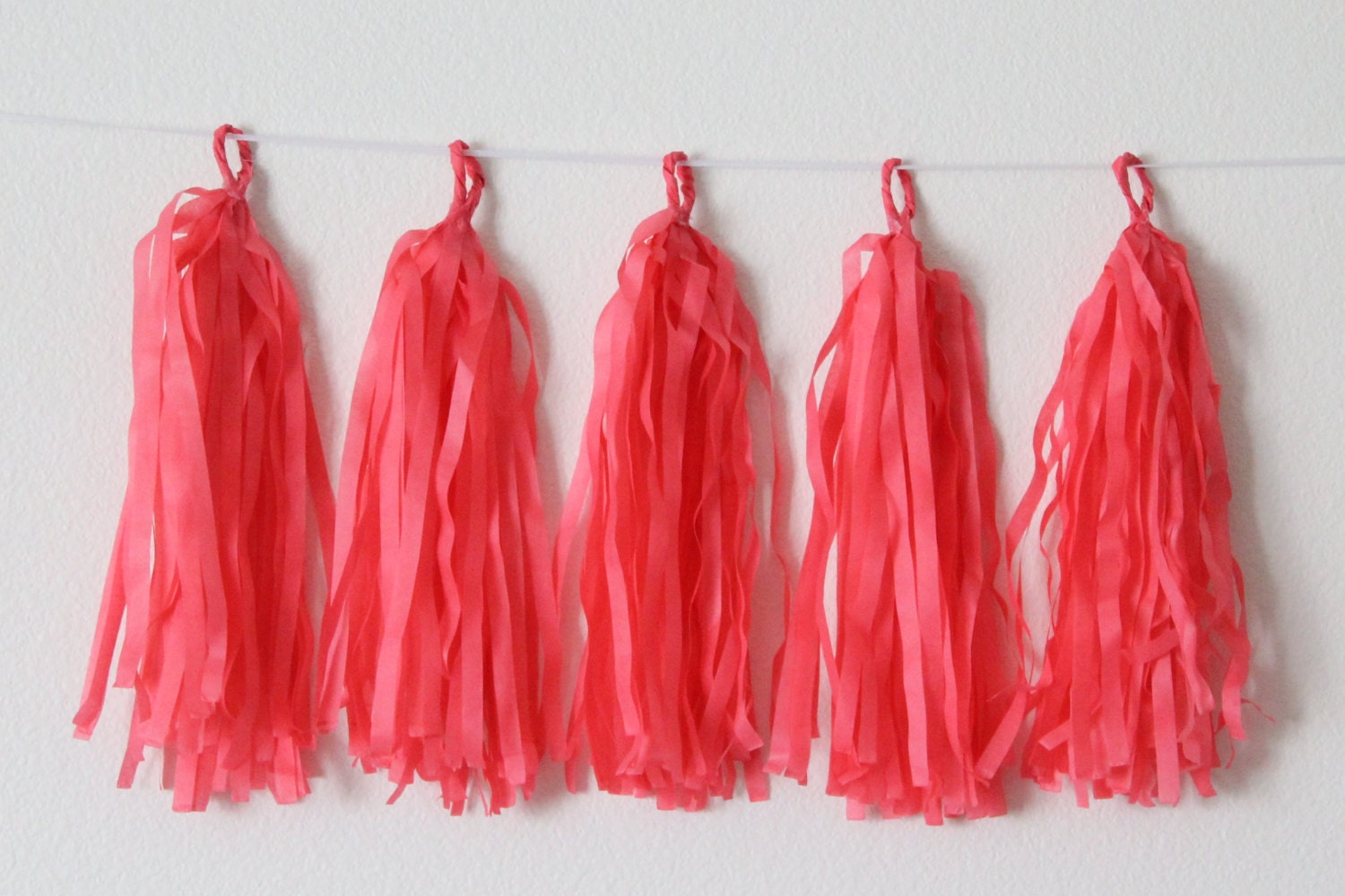 Tissue Paper Tassel Garland DIY KIT Watermelon Party