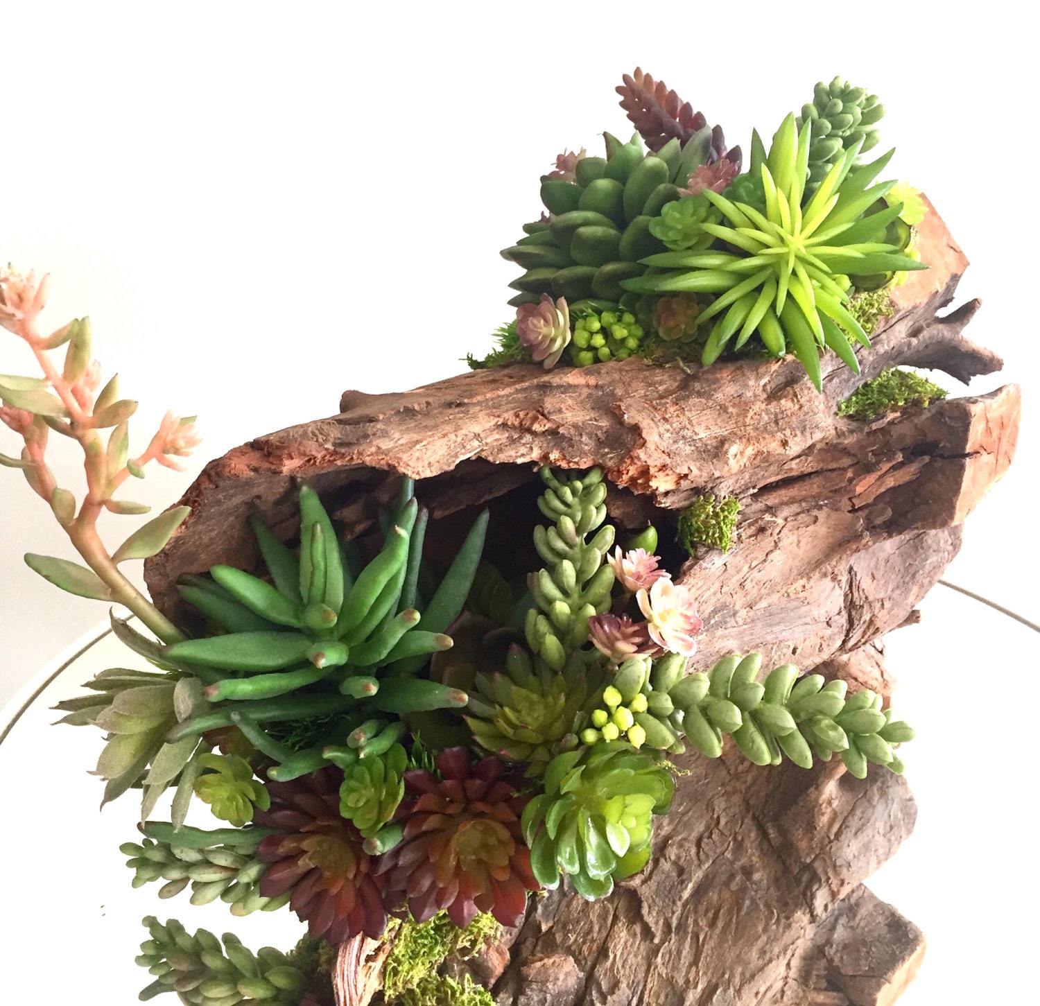 Succulent Arrangement Artificial Succulent Centerpiece On