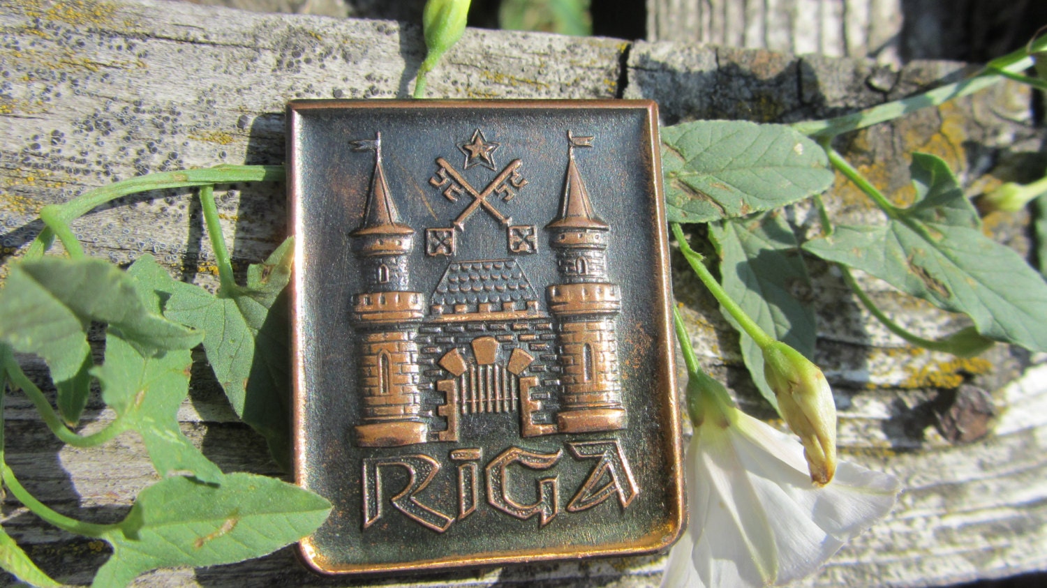 Soviet Vintage Copper Pin Badge Riga City Pin USSR in 1970s, rare pin sigh, deco