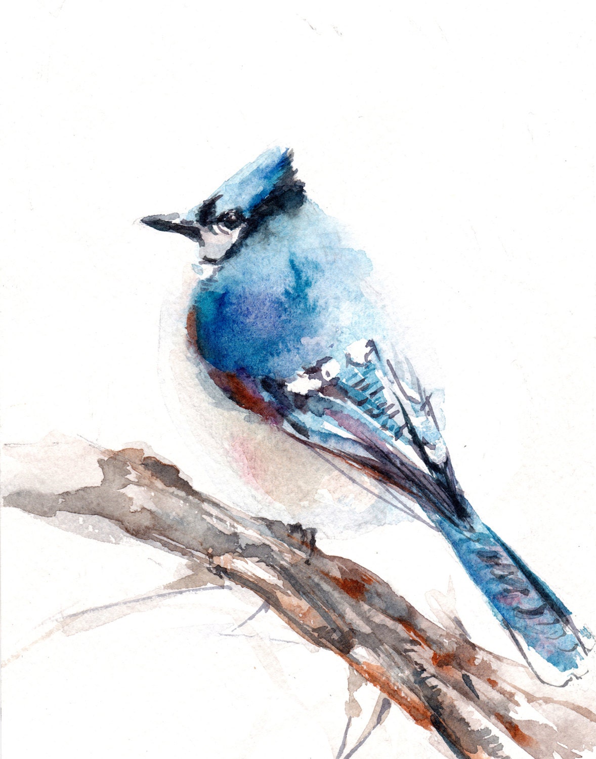 Bird Print Watercolor Painting Art Print Blue By Canotstopprints