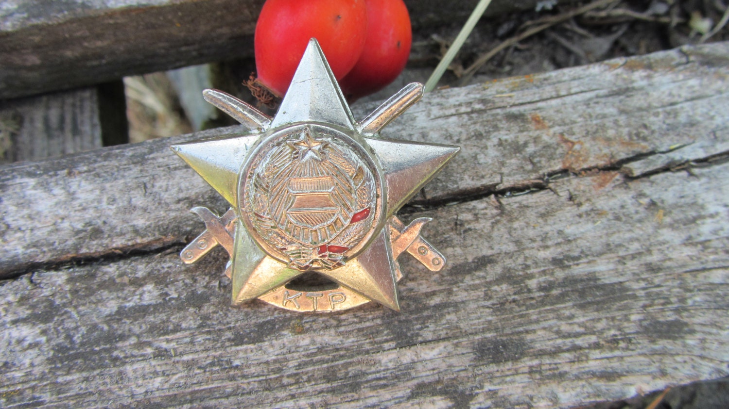 Soviet military hat badge, Vintage Soviet military cockade, Soviet military Tab.
