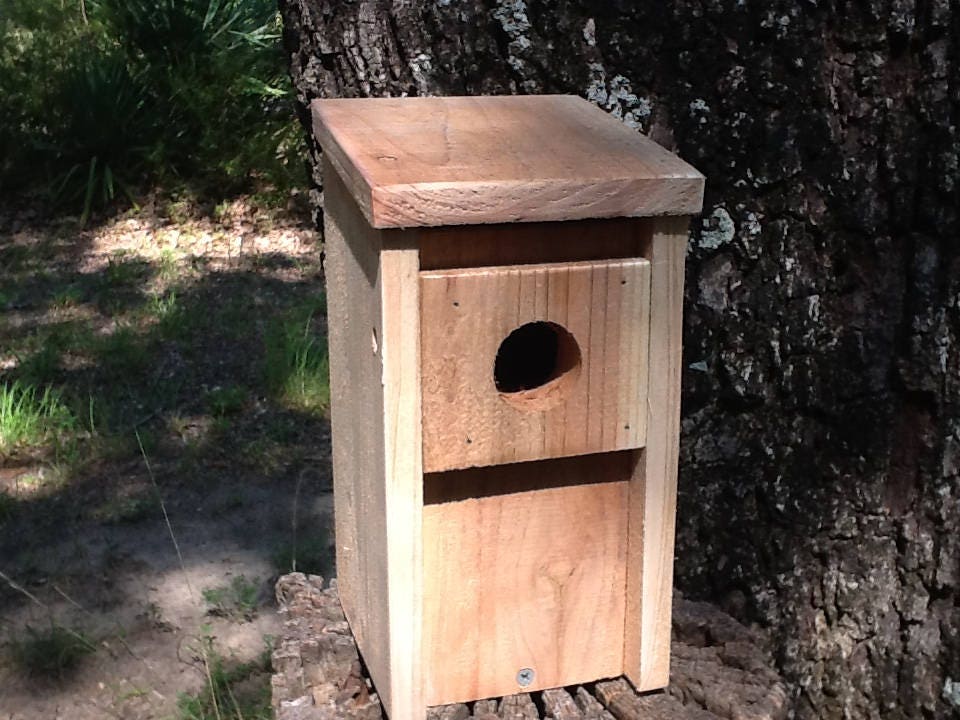 Bluebird House Guard Etsy