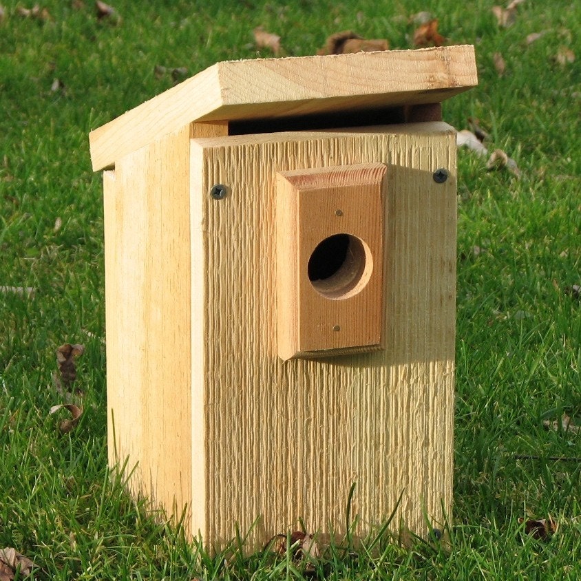 Bluebird or Swallow House