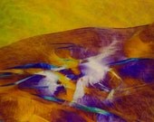 tawny landscape