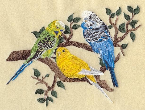 3 PARAKEETS - Machine EMBROIDERED Quilt Block (AZEB)