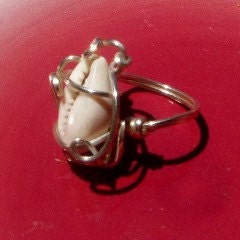 Ring  Royal Cowrie Shell Size 9 in Sterling Silver