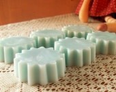 Water Herbal All Natural Soy Wax Tart Melts