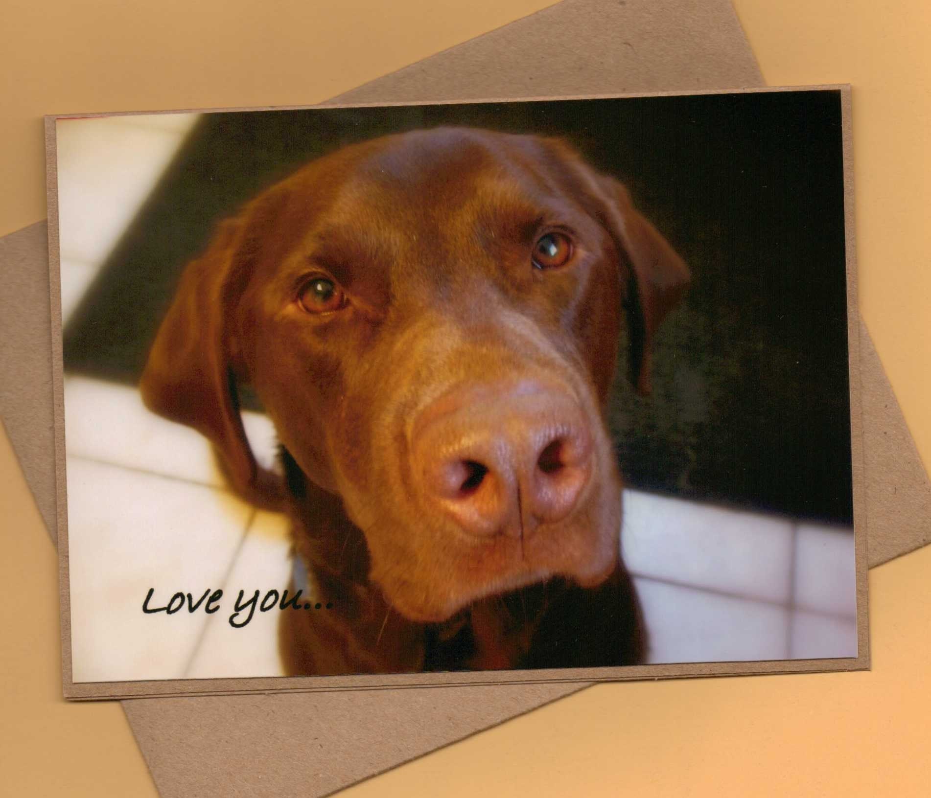 Handmade Chocolate Lab Dog Greeting Card-Love You-Dog Art for Chocolate Lovers