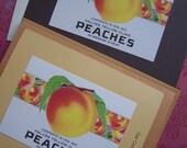 Handmade Notecards Set Rustic Peaches by sweetlibertyprims on etsy