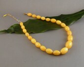 Yellow Dyed Jade Set - Oblong "Taste the Rainbow"
