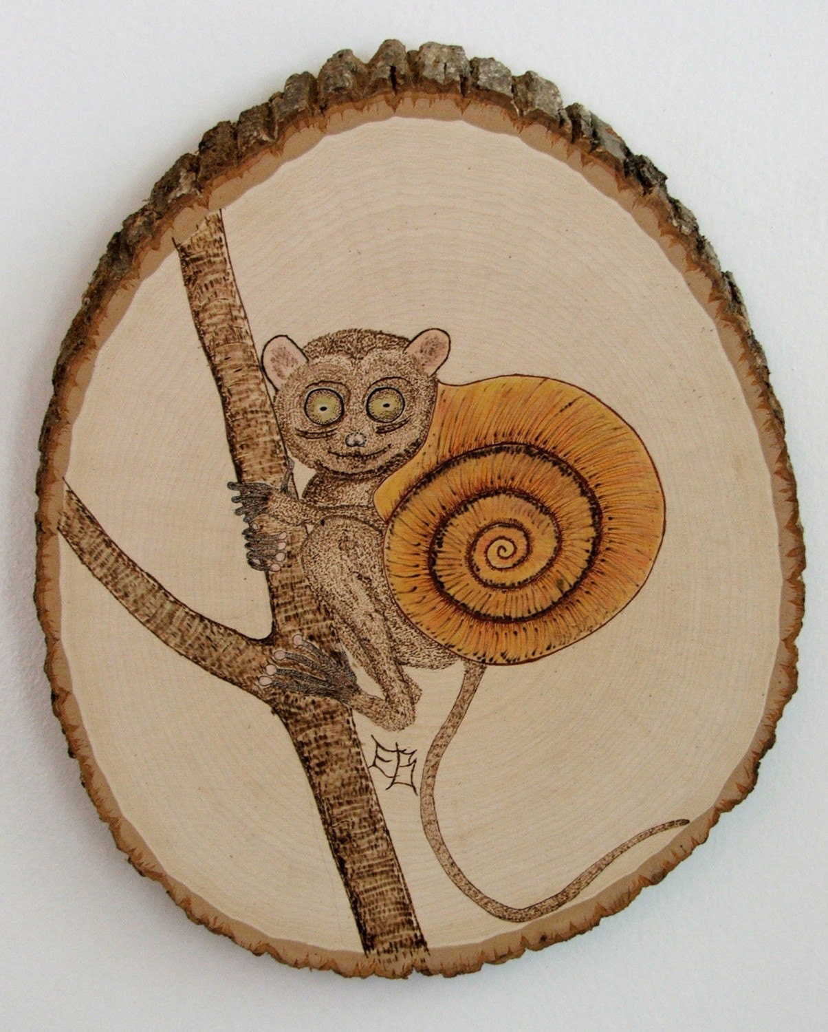 Tarsnail