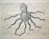 Octopus Print on Japanese Text - 5 x 7