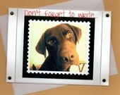 Chocolate Lab Dog Handmade Greeting Card-Don't forget to write for Dog Lovers