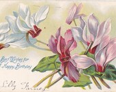 Vintage Birthday Post Card Early 1900s bd059