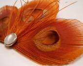 SPICE - Orange Treo Peacock Feather Clip - customizable