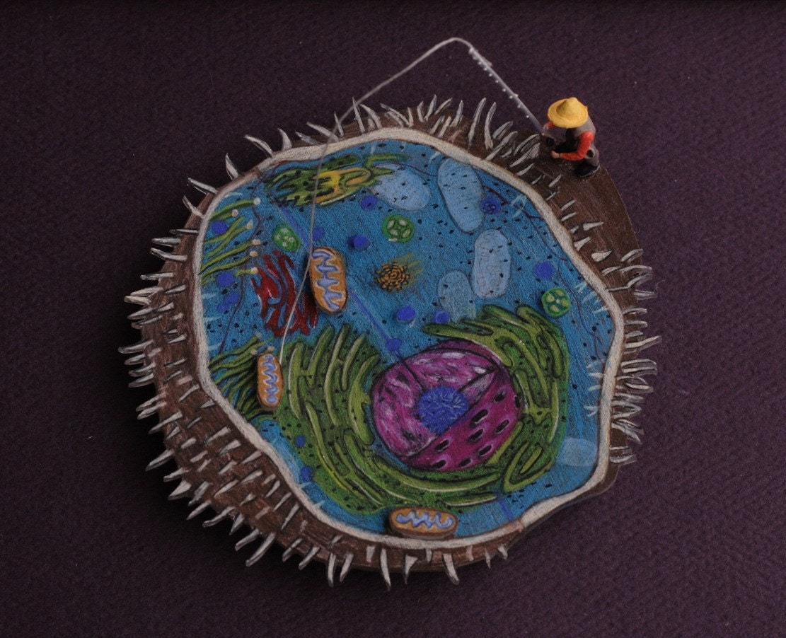 The Human Cell