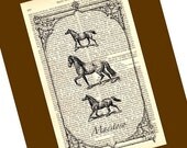 Horses Vintage Art Print Majestic Horses Print on an Antique 1896 Dictionary Page Book Page Horses Book Art Print Free Shipping