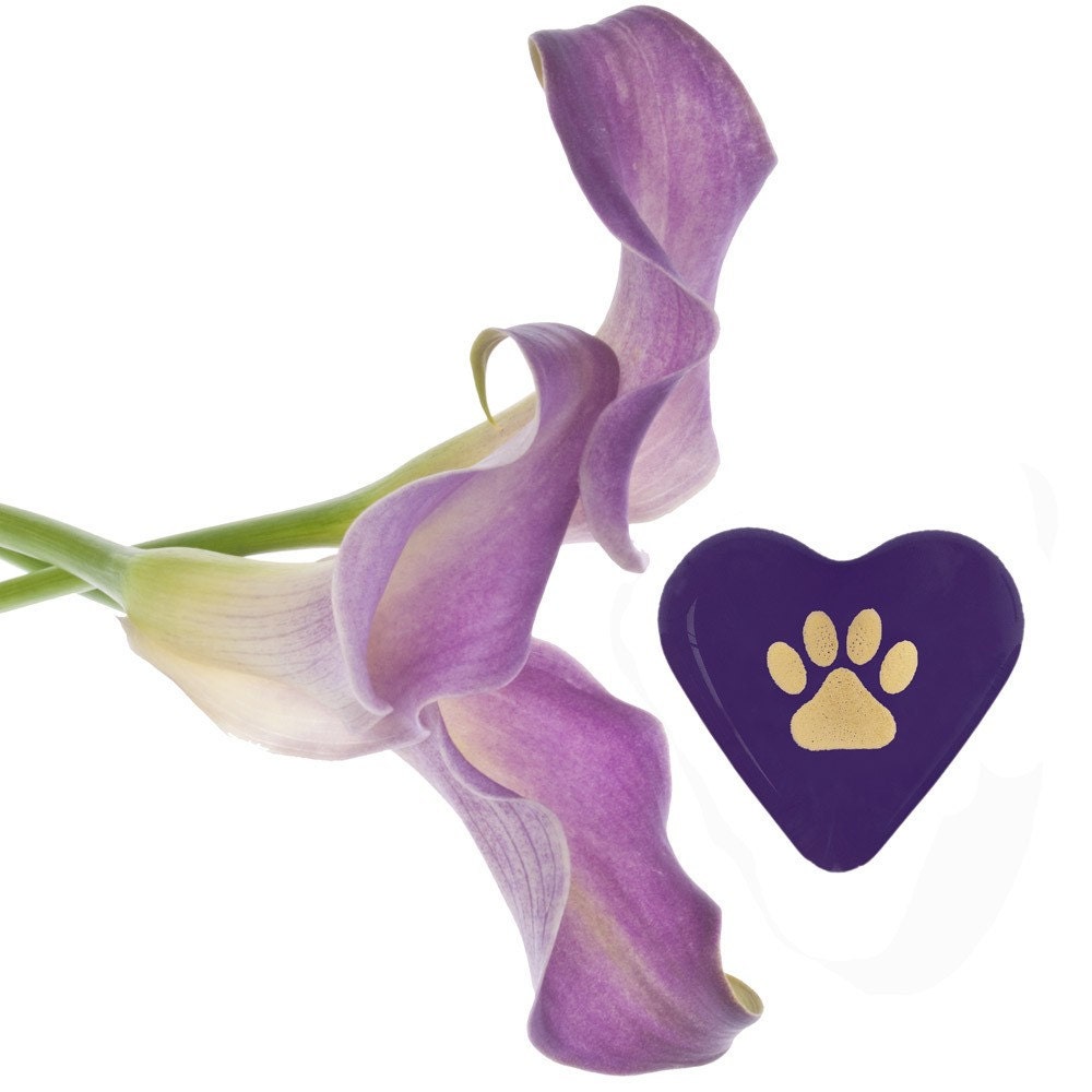 Precious Paw Print Purple Glass Heart for Thoughtful Pet Loss Sympathy 1.5x1.5x.5" 1.6oz