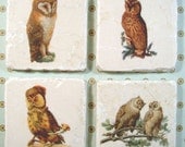 Marble coasters - Owls