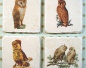 Marble coasters - Owls