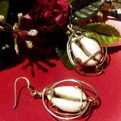 Royal Cowrie Shell Earrings in Sterling Silver