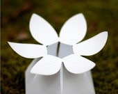 DIY paper flower favor box -  COMPLETE kit for 10 wildflower boxes