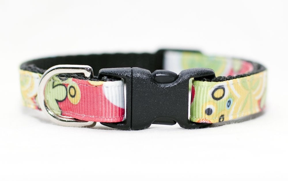 Cat Collar - The Groovy