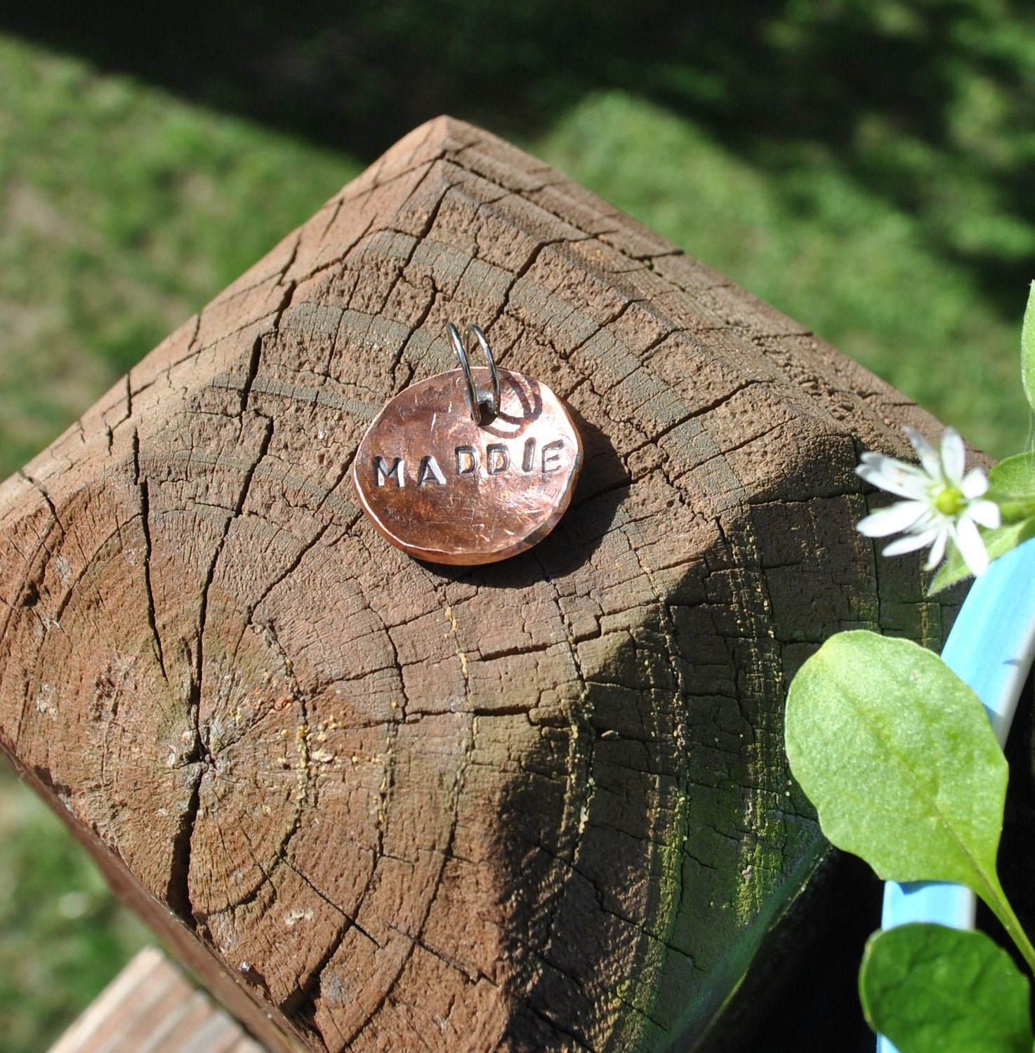 Lucky Penny Dog Tag.