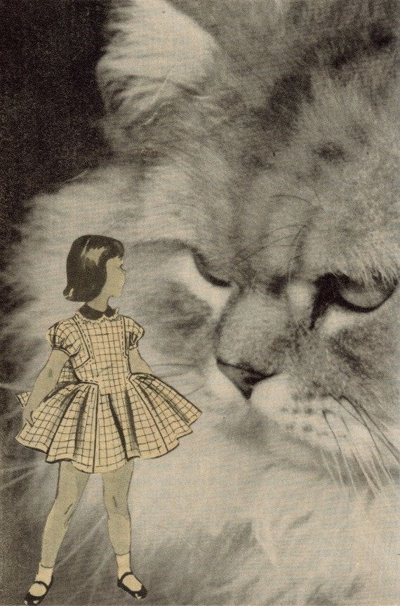 Surreal Cat Art Kitty Cat Collage Art