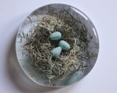 robins nest paperweight